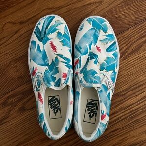 Tropical VANS